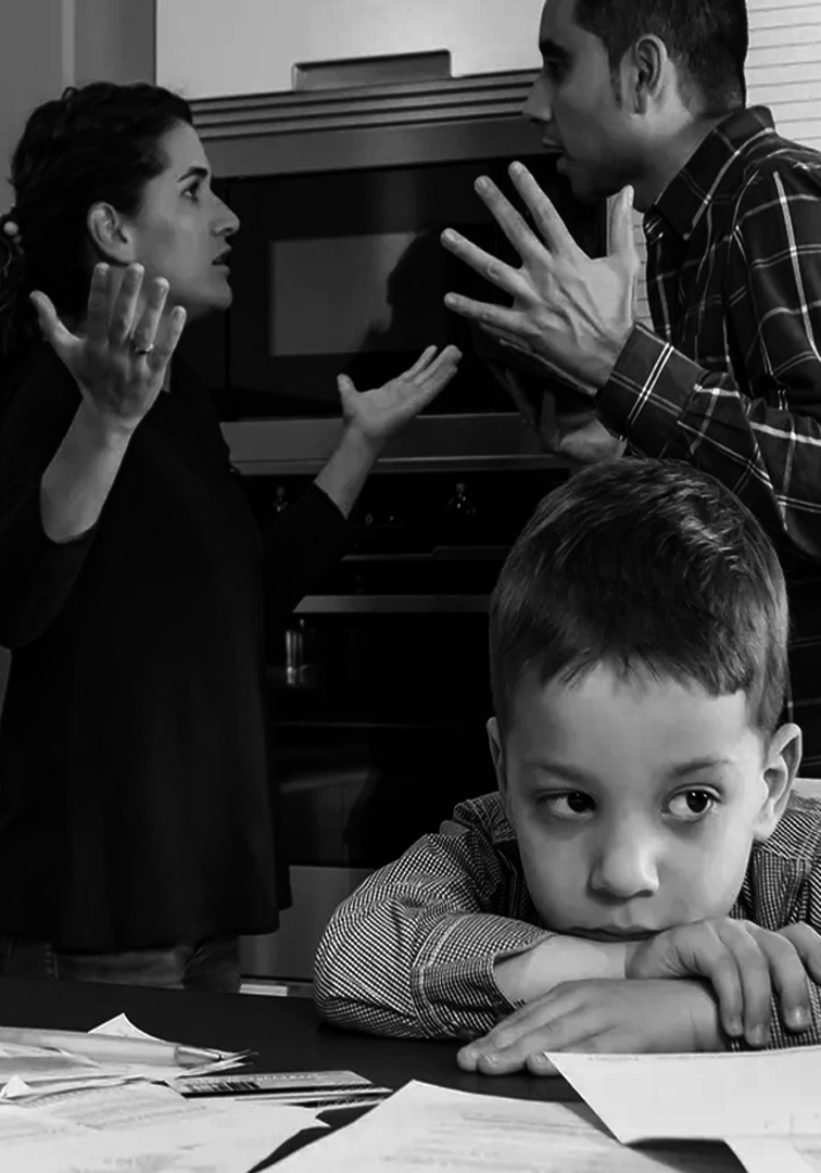 СЕМЕЙНЫЕ СПОРЫ 